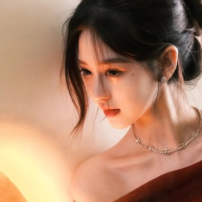 完美的主人