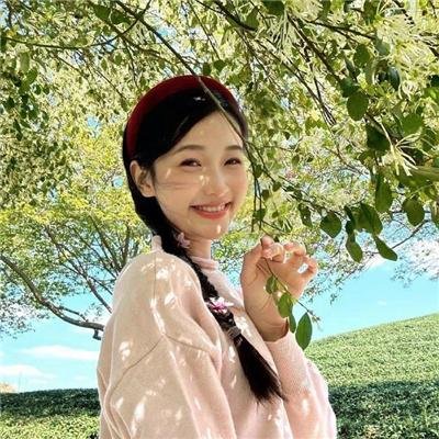 燕尾蝶